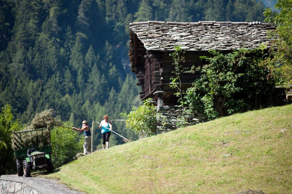 Albergo Castello Da Bonino Champorcher Chambre photo